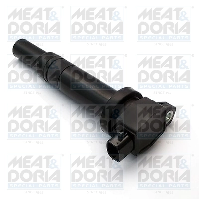 Ignition Coil 10623