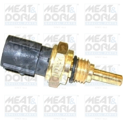 Sensor, coolant temperature 82029