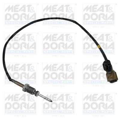 Sensor, exhaust gas temperature 12467