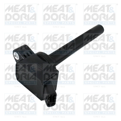 Ignition Coil 10881