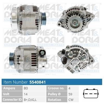 Alternator 5540841