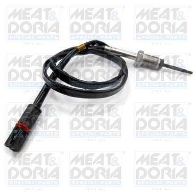 Sensor, exhaust gas temperature 12030