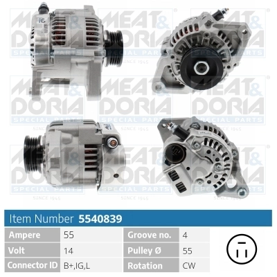 Alternator 5540839