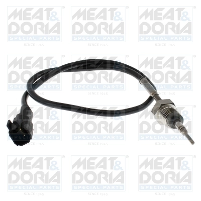 Sensor, exhaust gas temperature 12819