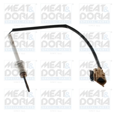 Sensor, exhaust gas temperature 12186E