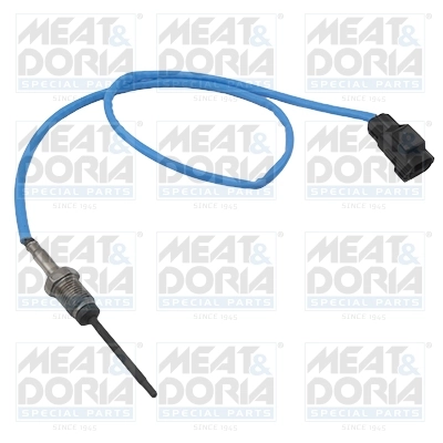 Sensor, exhaust gas temperature 12421