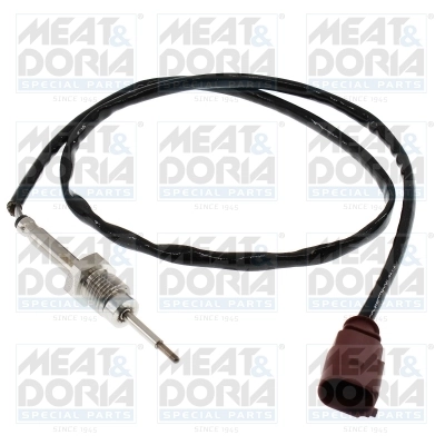 Sensor, exhaust gas temperature 12269