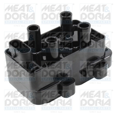 Ignition Coil 10336E