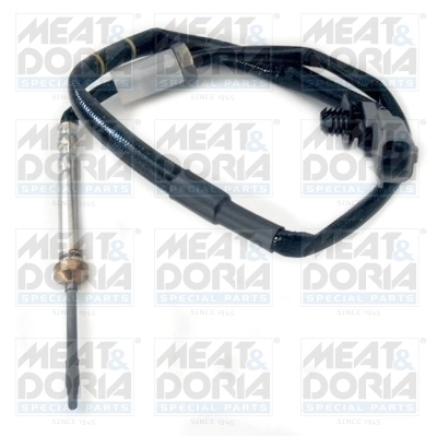 Sensor, exhaust gas temperature 12071