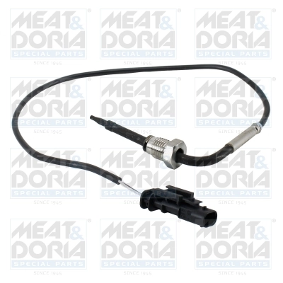 Sensor, exhaust gas temperature 12617