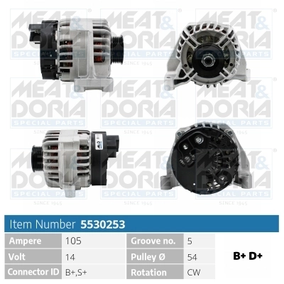 Alternator 5530253