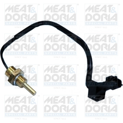 Sensor, coolant temperature 82276