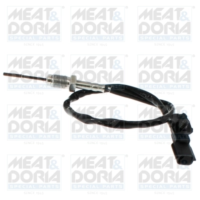 Sensor, exhaust gas temperature 12803