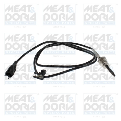 Sensor, exhaust gas temperature 12619