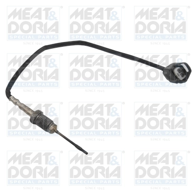 Sensor, exhaust gas temperature 12301