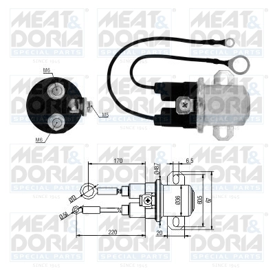 Solenoid Switch, starter 46266
