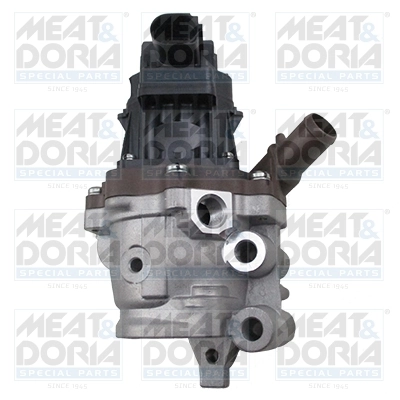 EGR Valve 88858