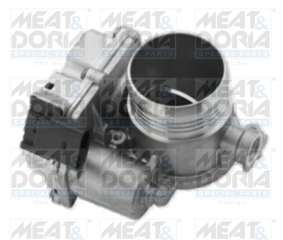 Throttle Body 89118