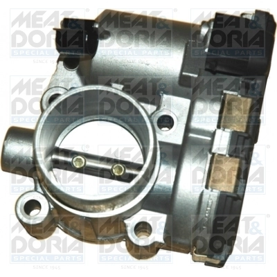 Throttle Body 89027