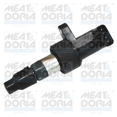Ignition Coil 10609