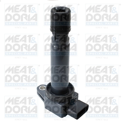 Ignition Coil 10875