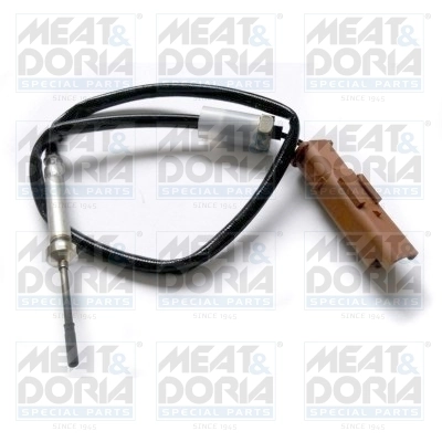 Sensor, exhaust gas temperature 12169