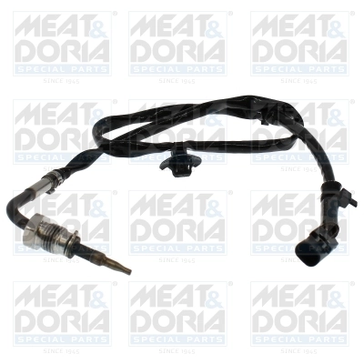 Sensor, exhaust gas temperature 12824