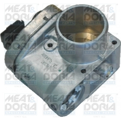 Throttle Body 89061