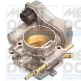 Throttle Body 89033