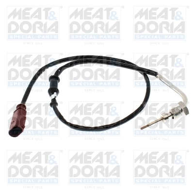 Sensor, exhaust gas temperature 12778