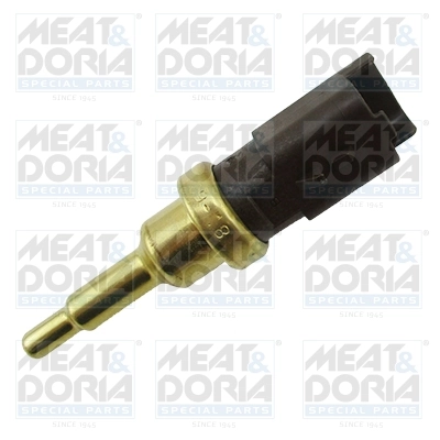 Sensor, coolant temperature 82486