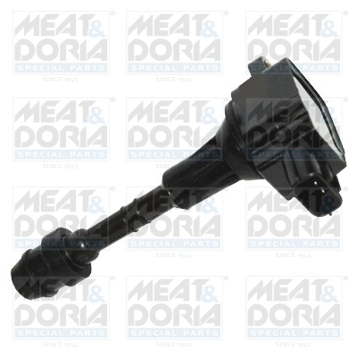 Ignition Coil 10742