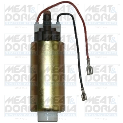 Fuel Pump 76970