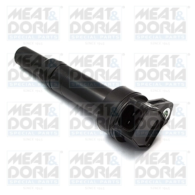 Ignition Coil 10620