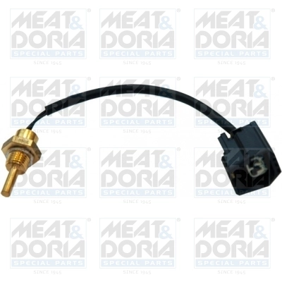 Sensor, coolant temperature 82271
