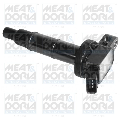 Ignition Coil 10443