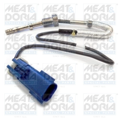 Sensor, exhaust gas temperature 12002