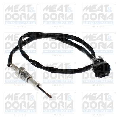 Sensor, exhaust gas temperature 12393