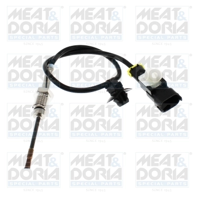 Sensor, exhaust gas temperature 12015