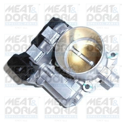 Throttle Body 89193