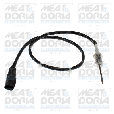 Sensor, exhaust gas temperature 12794