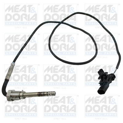 Sensor, exhaust gas temperature 12437