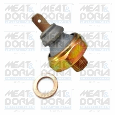 Oil Pressure Switch 72060