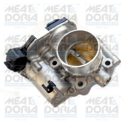 Throttle Body 89275