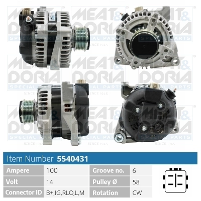 Alternator 5540431
