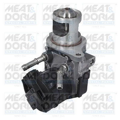 EGR Valve 88254R