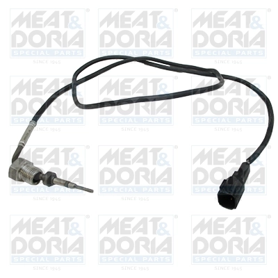 Sensor, exhaust gas temperature 12429