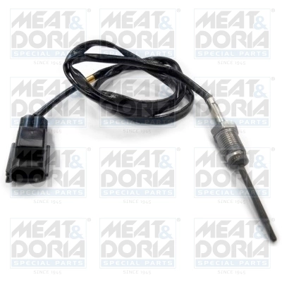 Sensor, exhaust gas temperature 12031