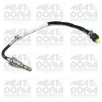 Sensor, exhaust gas temperature 12453