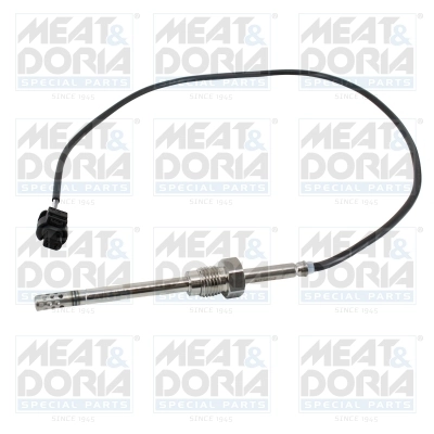 Sensor, exhaust gas temperature 12571